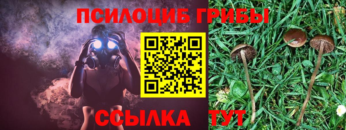 Галлюциногенные грибы ЛСД Архангельск