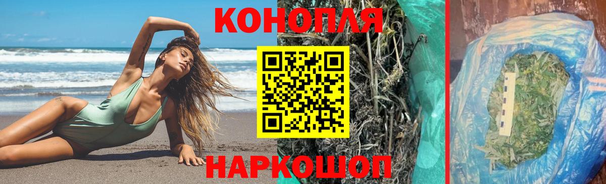 МАРИХУАНА конопля Архангельск